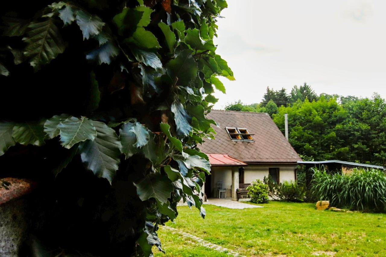 Chaloupka Žďárky Vila Exterior foto